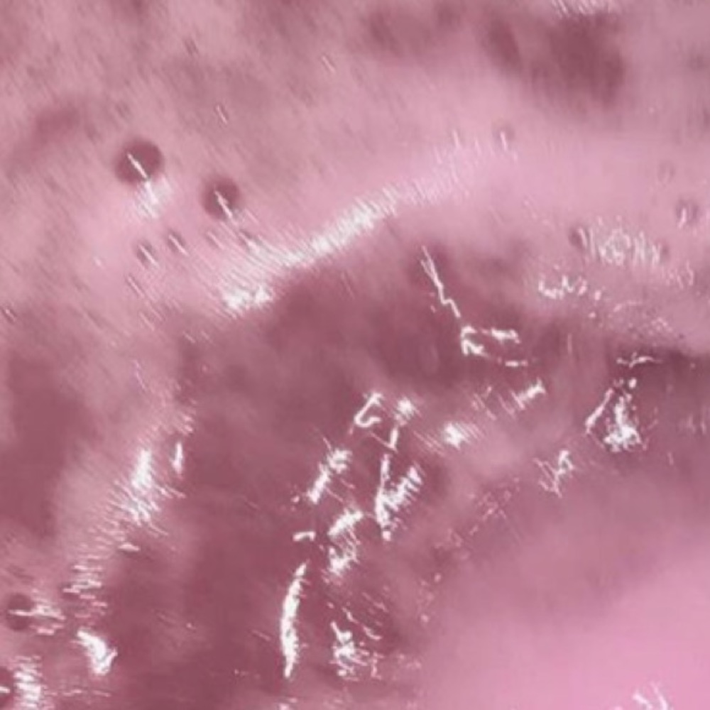 Meet your Posher, Ariana